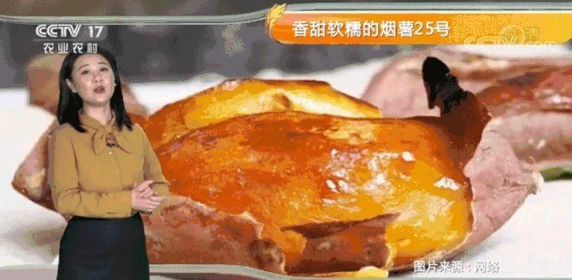 桑葚干|建议中老年人:少吃鸡鸭鱼,多尝尝这几样好物,腿脚有劲精力旺