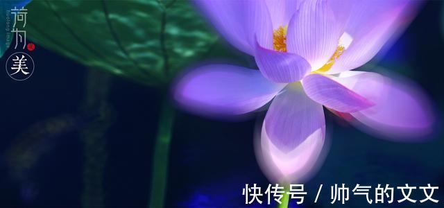 爱对方|桃花再开，旧爱回眸，桃花满天，两相思慕，相拥而泣