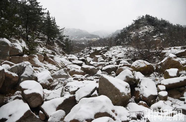 肖枫|你那里是下雨还是下雪？今天，同在青岛，却仿佛不在一个季节...