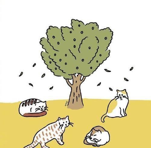 兴趣爱好|家长再节俭，这3样东西也一定要给孩子不然将来吃大亏