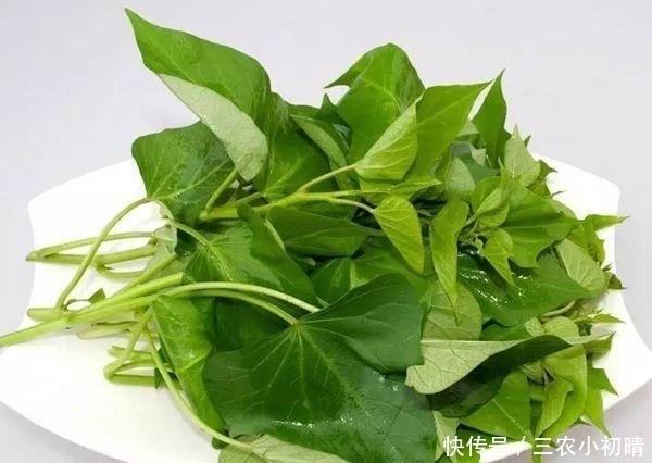 蔬菜中的皇后,比绿萝还美,丢水里一个月窜1米,全家吃了都健康