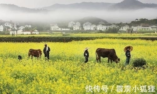 紫绶金章&宋代的一首佳作,彰显淡泊襟怀,颈联仿佛两幅生动的写意图画