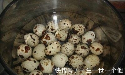 好吃|五香鹌鹑蛋怎么做好吃