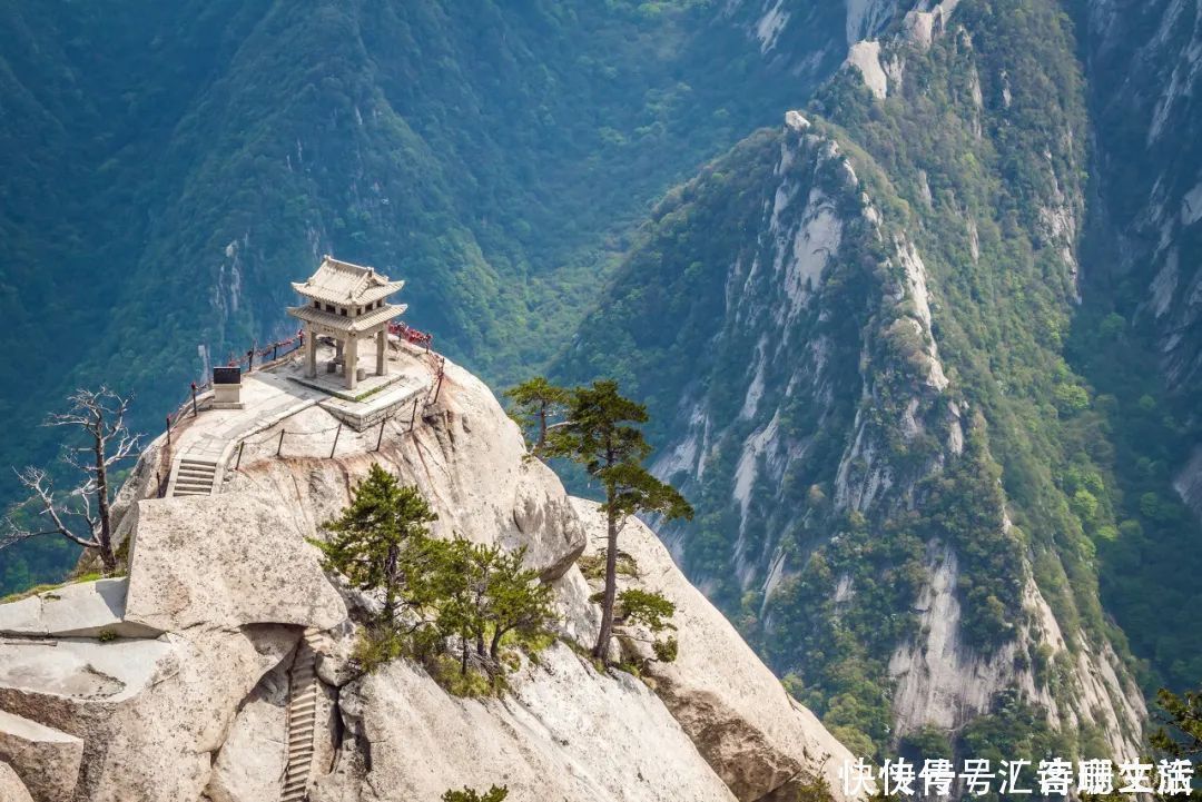 满山|秦岭深处满山红遍，绚丽多彩，惊艳着整个秋天