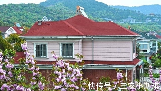 阳台上|农村自建小户型别墅, 四室一厅很宽敞, 还有书房和大阳台, 美!