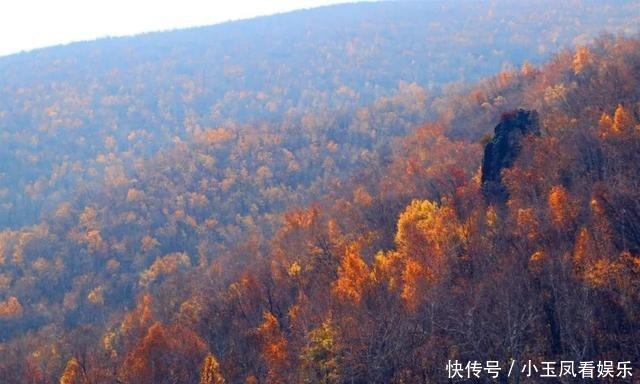 「聚焦」｜索博日嘎镇金秋美景为祖国庆生