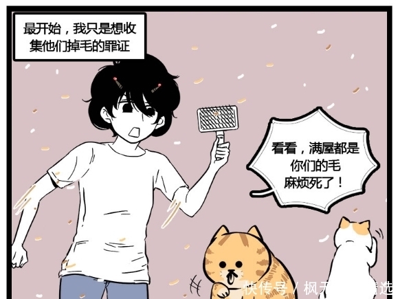 开挂|搞笑漫画：整理个猫毛都要上演一出百合大戏，女主角是开挂了吗？