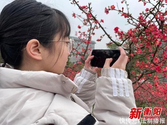 中年|新春走基层:春节假期百亩海棠花盛开 文明旅游成亮丽风景