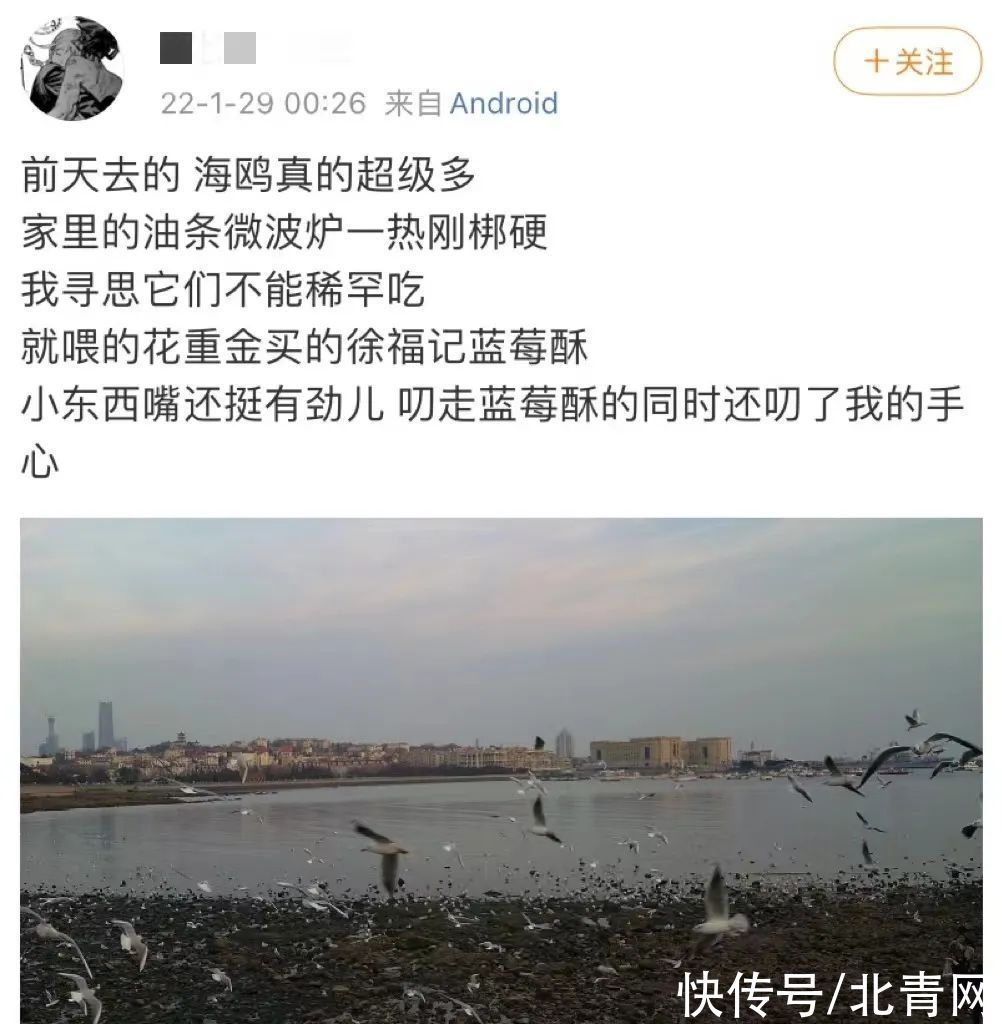 钟大浩|大过年的有人吐槽栈桥不好？还说被青岛人骗了？