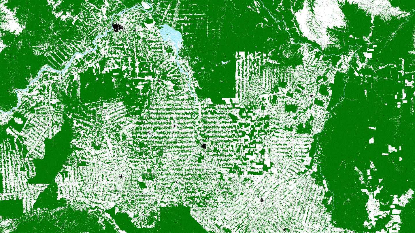 巴西 卫星对准全球森林!中国大半领土都“绿”,德国巴西发现新砍伐区