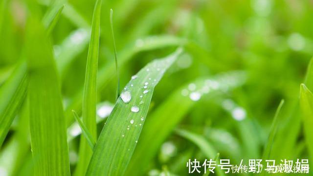 脾胃|脾虚的“诱因”被揪出!谨记:喝2水、吃2物,脾不虚、病不找