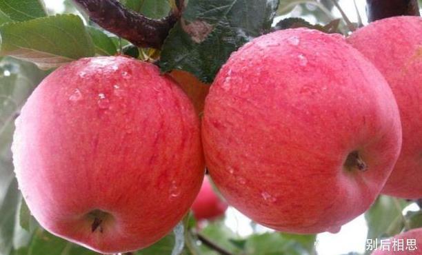 豆奶|早晨是养肝的黄金时间，早餐多吃五种食物，肝脏就会更快乐的