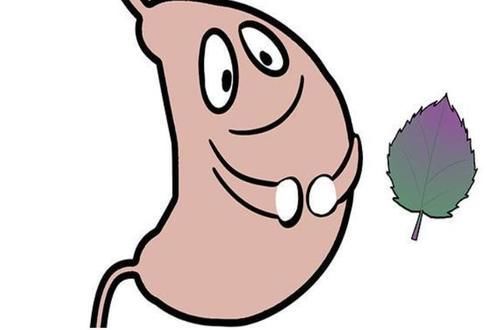 肠胃疾病|寿命长短跟走路有关系吗？听过来的人怎么说，看完涨知识了