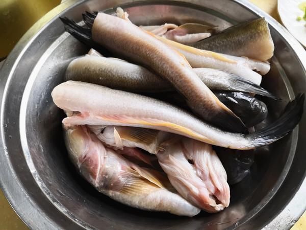 被人“误会”最多的鱼,全身都是宝,比甲鱼营养,6元1斤很便宜