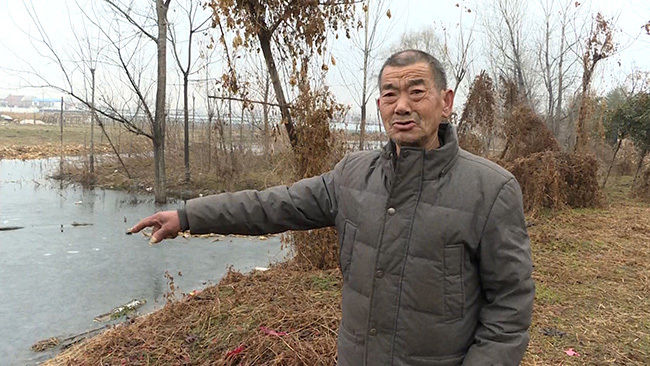 水坑|山东菏泽71岁老人跳入冰水勇救落水儿童