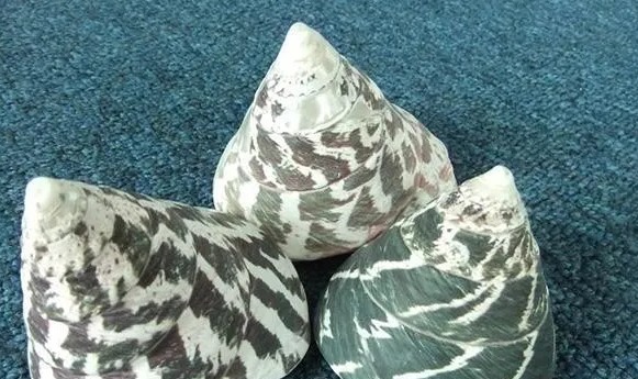 孔雀翎砗磲|冒充砗磲的文玩摇身一变又回来了