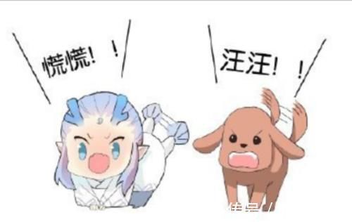 藕饼 日常敖丙差点被猫和狗误导了 最后恶龙咆哮 萌坏了 快资讯