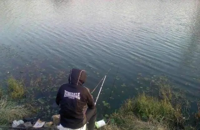 冬钓鲫鱼,牢记“四大可钓”情形,只有老手才明白!