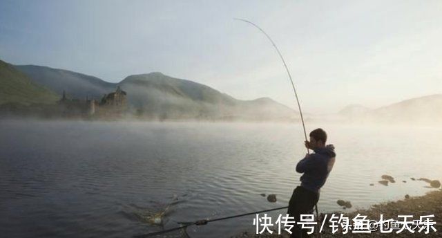 钓鱼|气温下降也别封竿，大板鲫的觅食高峰来了！现在垂钓正当时