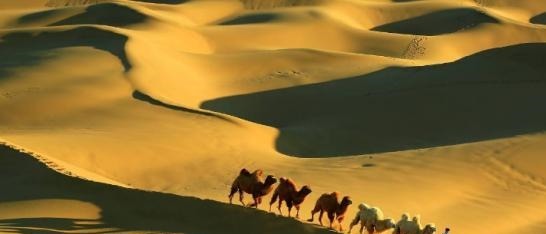 中国历史!这个大姓几乎全是外国人,2000多年前来到中国只为逃难!