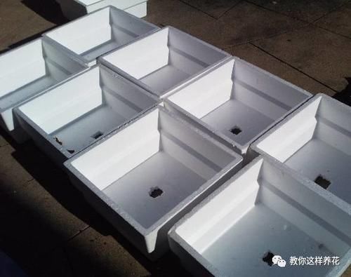 自制4种营养土,再也不板结烂根,大白根能挤破盆!