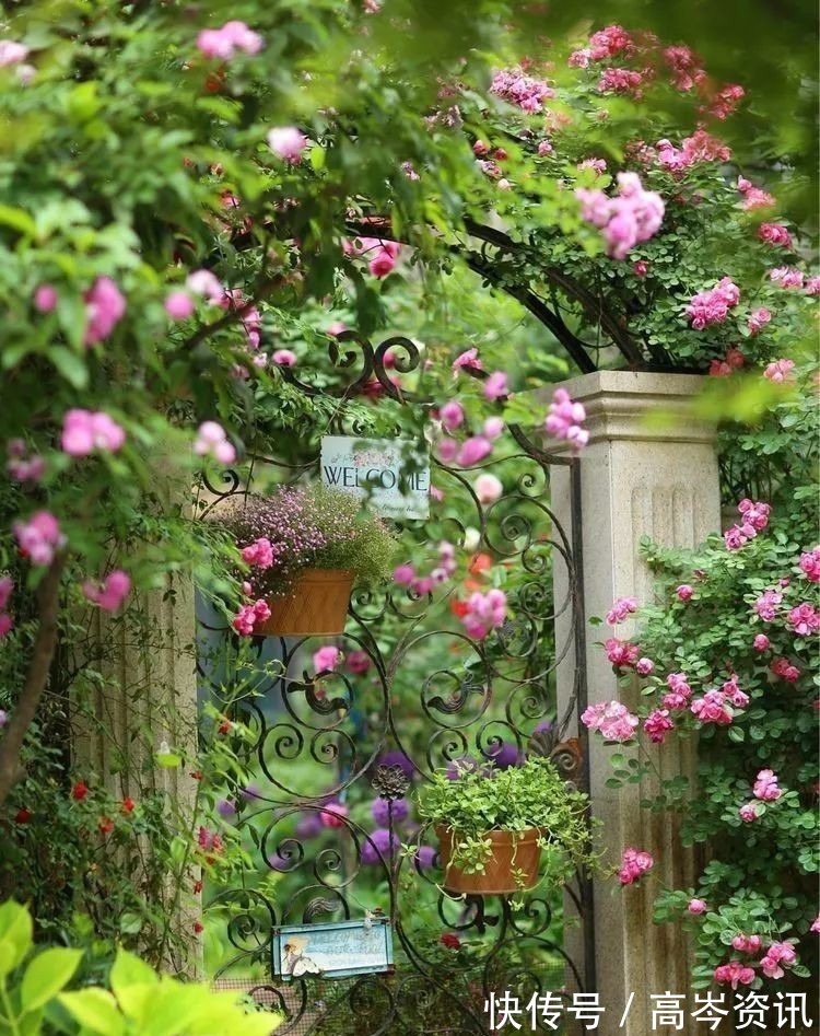 小区|坐拥270㎡大院子,她如何用五年时间,打造成了全小区最美的花园