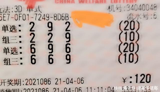 小复式票收获体彩大乐透一等奖六合彩官网 - 实时开奖、精准预测、专业分析