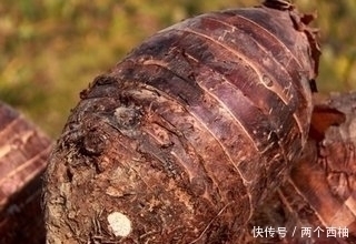 芋头|立秋后，芋头和此物同食，对身体十分有益，却有很多人不清楚
