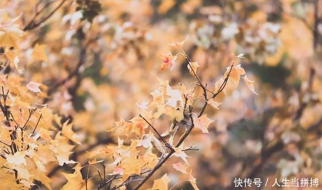 这几首写失眠的诗词，每一首都成就了一个不朽的失眠