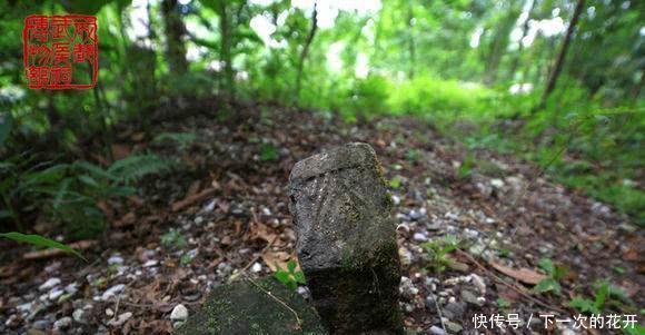 曹魏|此人是马超的弟弟,勇武斩杀魏延,独自北伐曹魏,下落却鲜为人知!