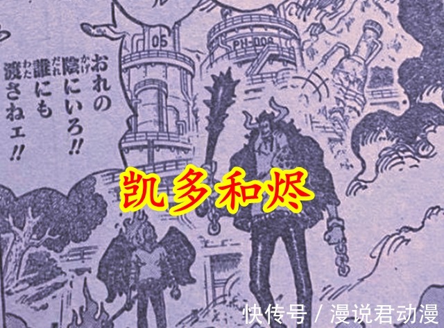 左右手|海贼王1035:烬戴面具原因揭露,被政府通缉,光举报就奖励1亿