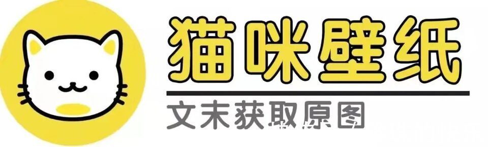 拜年|必存!新年拜年表情包丨第310期热门表情包