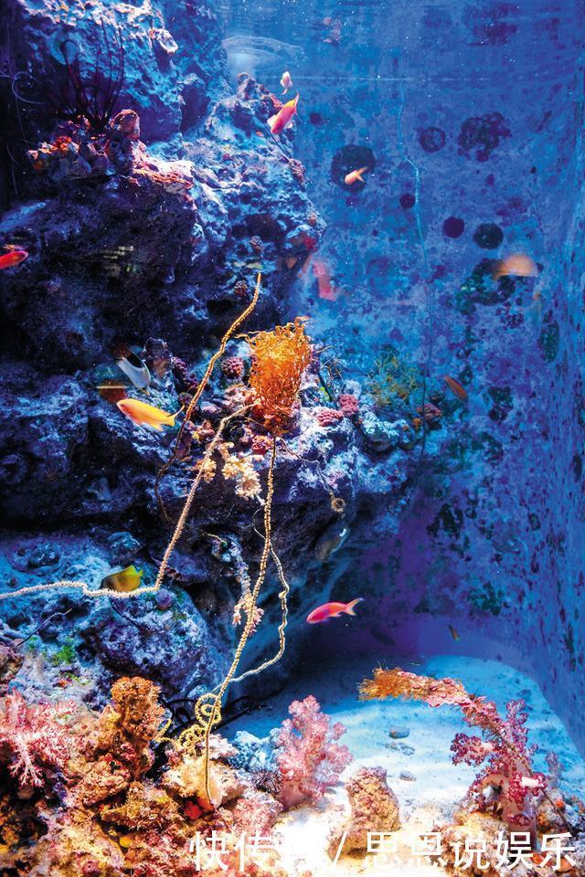 日本|日本的夏威夷——冲绳