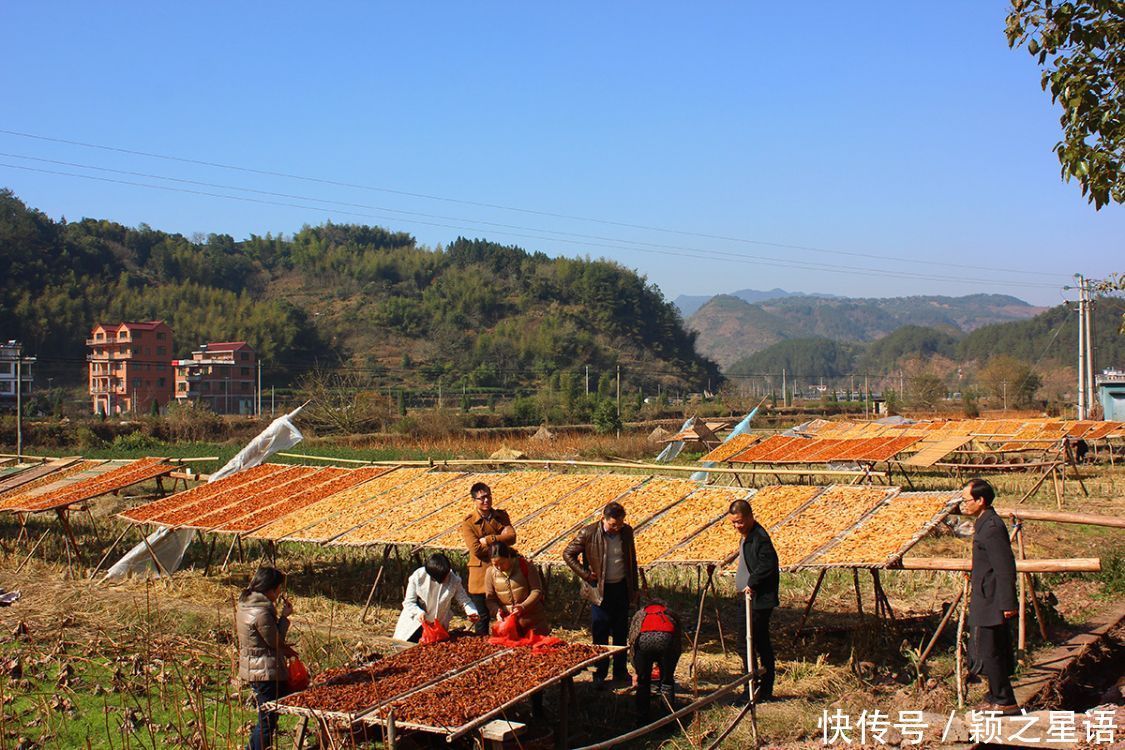 番薯的花样吃法,舌尖上的美食,只问吃过几种