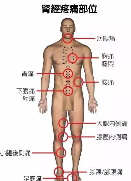 通畅|经络不通百病缠身,找准根源最重要,每天10分钟,疏通经络保健康