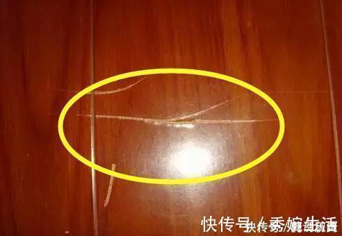 安装|装完什么都迟了!这14个装修错误先整整明白!不实用还添堵!