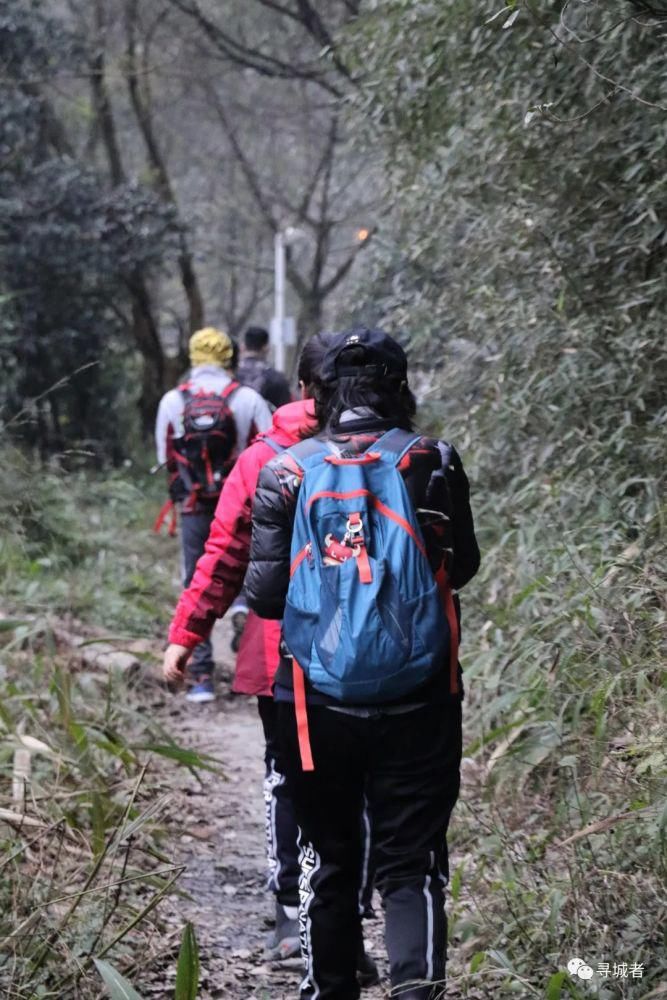 更喜南山千倾野，卅公里后尽开颜