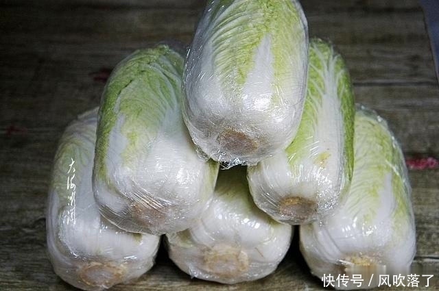 保存|白菜买多了怎么保存姐教我一招,做法超简单,能放好长时间