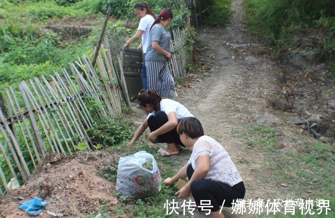 伙伴们|它的确很珍贵，农村见到，希望你摘叶子就好，别拔根