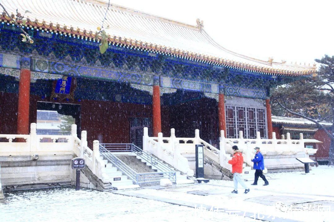 云赏雪|昌平初雪美景回放！雪缀红叶、红墙白雪…这也太美了吧