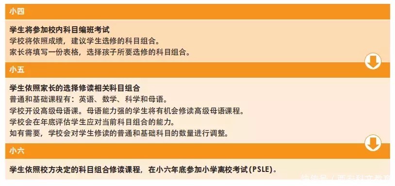 为什么建议你小四之前去留学？|新加坡留学| a169