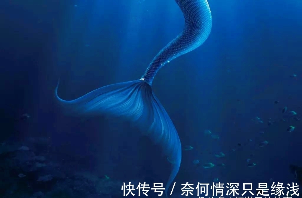 男子|湖北一男子在长江中意外钓起10斤“美人鱼”，走近一看被吓坏了！