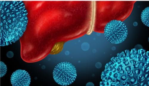 乙肝携带者|“大三阳”、“小三阳”和“乙肝携带者”到底是什么关系?