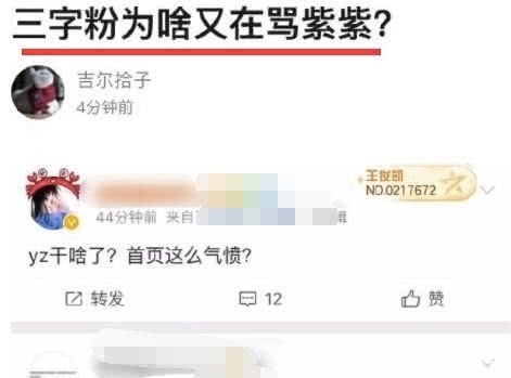 杨紫摸王俊凯脸被粉丝痛骂，当事人澄清：正常互动不要过分解读！