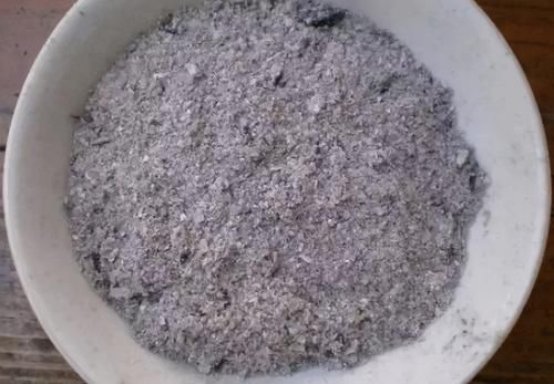 4样“天然杀虫剂”，家家户户都有，春夏拿来养花植物少遭殃