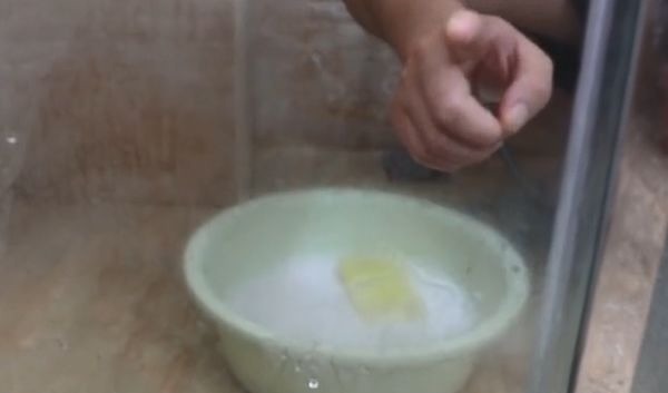 香烟加洗衣粉泡一泡太厉害了,10个家庭9个都需要,一年省不少钱