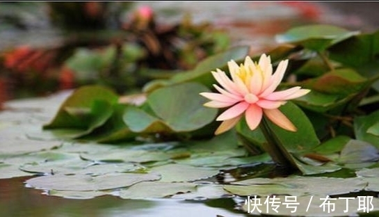 戒子文@《了凡四训》,掌控自己的命运,就靠这四点,受益一生