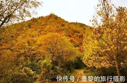 孟浩然!与山有关的10大名诗排行榜,李白《独坐敬亭山》仅第四,前三呢?