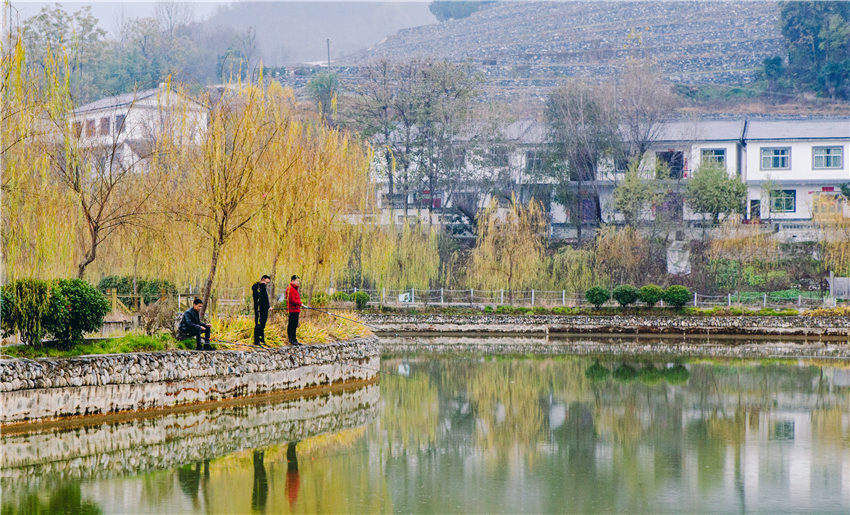 法官庙村|陕西商洛法官庙村：美丽乡村入画来