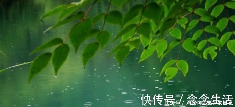 微雨夜行@白居易在夜里赶路,突然下起了雨,信手拈来成就一首咏雨名篇!